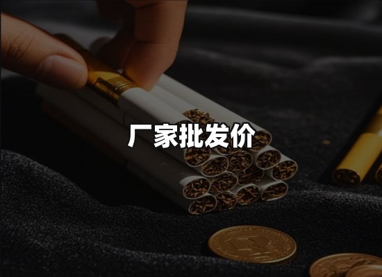 专业优势